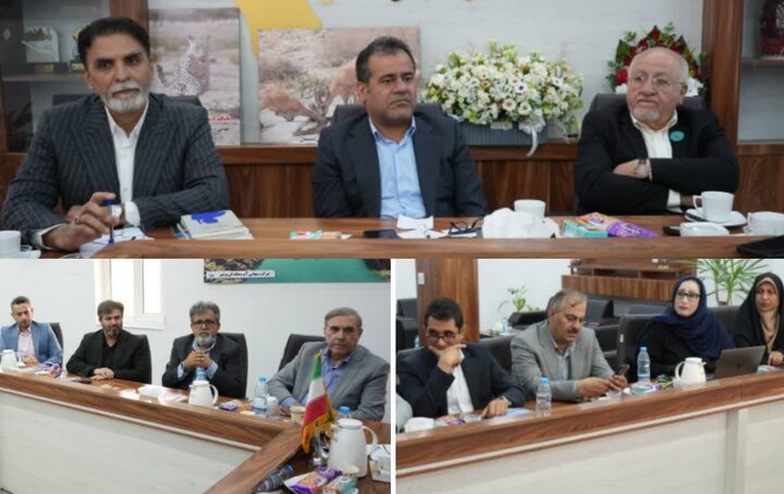 فرماندار دشتستان: کاروانسرای مشیر الملک به قطب فرهنگی تبدیل شود فرماندار دشتستان: کاروانسرای مشیر الملک به قطب فرهنگی تبدیل شود