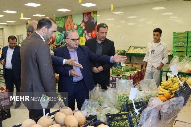 تشدید نظارت بر بازار میوه سمنان؛ حقوق مصرف کنندگان رعایت شود