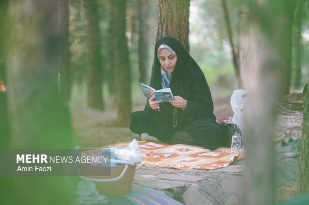 قرائت دعای عرفه در تنگ الله اکبر شیراز