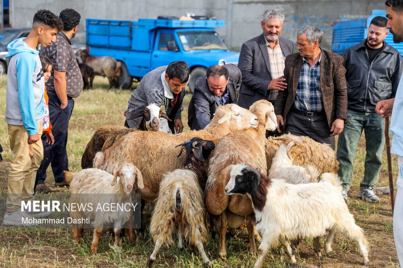 عيد،قربان