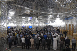 شوقِ بندگی در صف عاشقان؛ حرم مطهر امام رضا(ع)