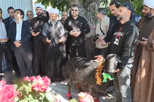 گوشت،اهداي،امداد،عيد،پوشش