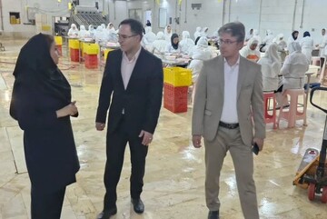 فرماندار تنگستان: واحدهای تولیدی شهرستان ویژه‌تر حمایت می‌شوند
