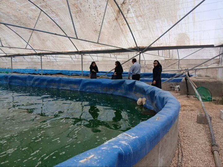 بخشدار ارم: توسعه گردشگری شیلات و آبزی‌پروری پیگیری می شود