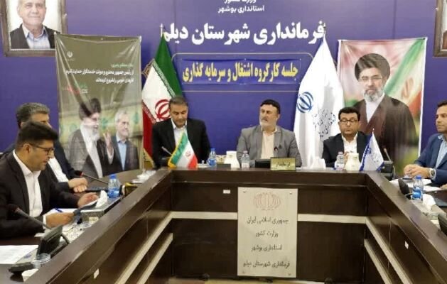 فرماندار دیلم: نظارت دقیق بر روند اجرای طرح‌های اشتغال‌زا انجام شود
