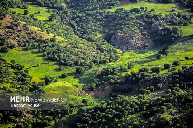 آبشار ازنادر و دره اسپر شهرستان دورود لرستان