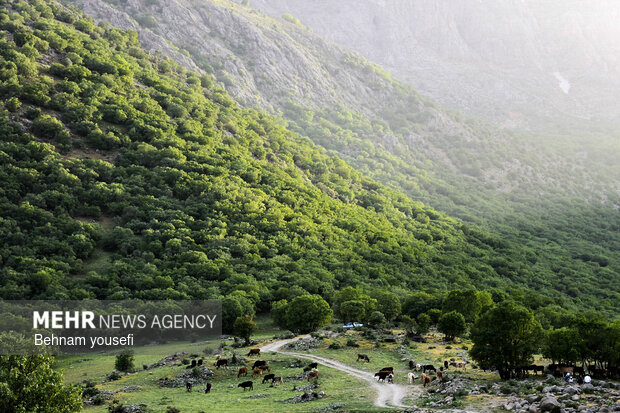 آبشار ازنادر و دره اسپر شهرستان دورود لرستان