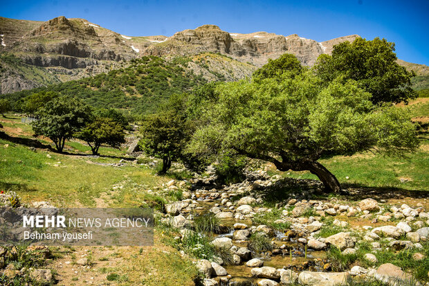 آبشار ازنادر و دره اسپر شهرستان دورود لرستان