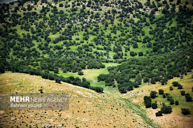 آبشار ازنادر و دره اسپر شهرستان دورود لرستان