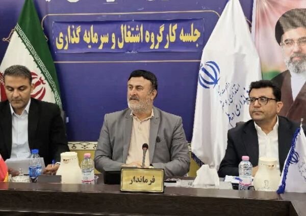 پروانه: تقویت نظام نظارت و ارزیابی طرح‌های اشتغال‌زایی ضروری است