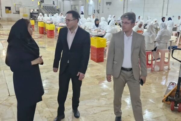 واحدهاي،شهرستان،صنعتي،توليدي،تأكيد،مجموعه،توليد