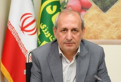 جذب ۱۴۸ درصدی اعتبارات مکانیزاسیون؛ آذربایجان شرقی رتبه اول کشور شد