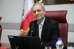 رجائی‌نیا: سهم آرد در قیمت تمام‌شده نان کمتر از ۵ درصد است