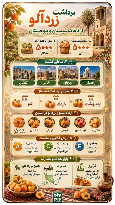 اینفوگرافیک؛ برداشت زردآلو از باغات سیستان و بلوچستان