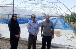 تولید سالانه ۲ تن جلبک اسپرولینا در شاهرود؛ اشتغالزایی برای ۶ نفر