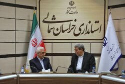 نوری:معلولیت‌های ناشی از ازدواج فامیلی نیازمند مداخلات بهزیستی است
