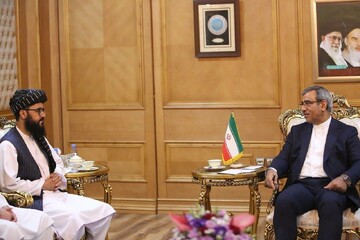 مظفری: اقتصاد ایران و افغانستان نیازمند سرمایه‌گذاری مشترک است