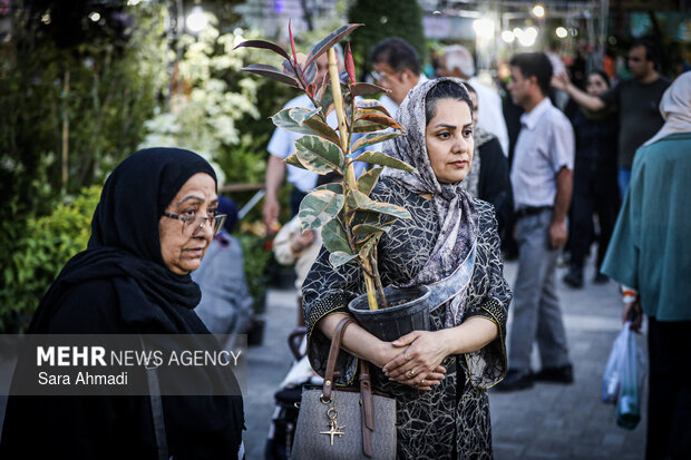 جشنواره رنگ ها و عطرها در مشهد