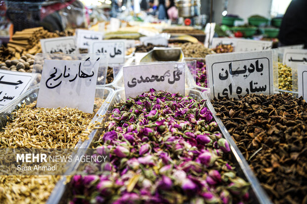 جشنواره رنگ ها و عطرها در مشهد