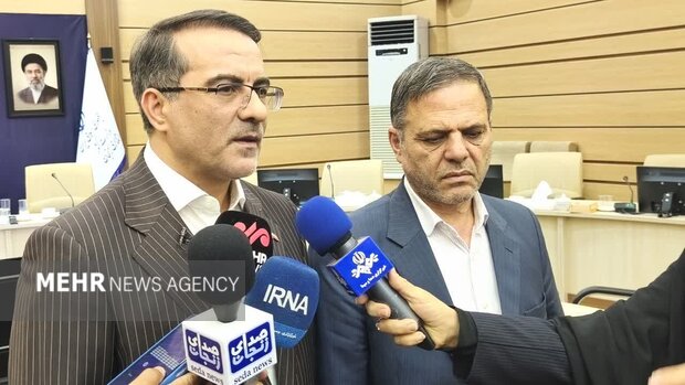 رفیع‌زاده: بررسی ساماندهی نیروهای شرکتی در دستور کار دولت قرار دارد