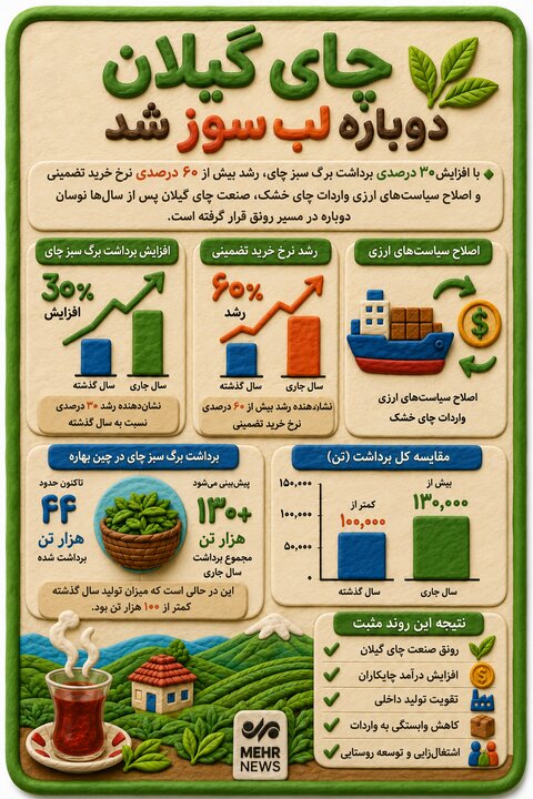 اینفوگرافیک؛ آخرین وضعیت چای گیلان در یک نگاه