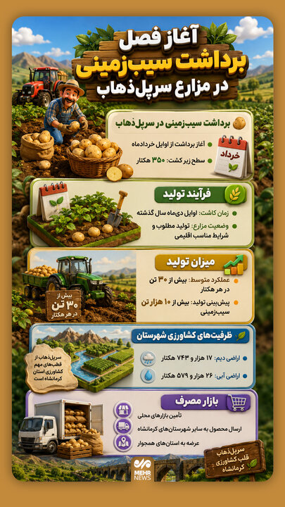 اینفوگرافیک؛ برداشت سیب‌زمینی از مزارع سرپل‌ذهاب