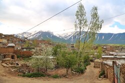 «موئیل» یکی از ۸ روستای منتظر ثبت جهانی؛ سبلان و عشایر خوش می‌درخشند