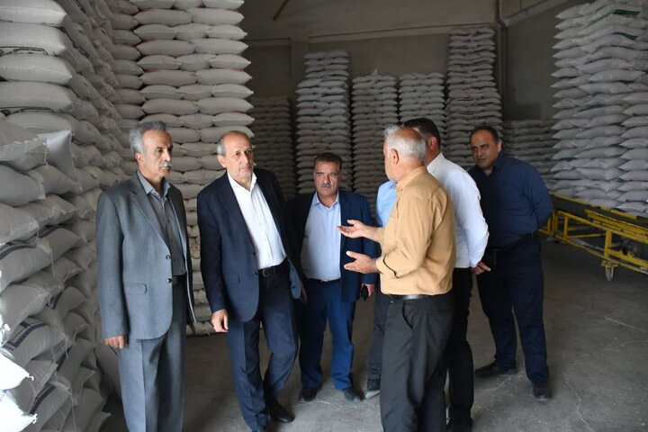 آذرشهر؛ پایتخت بی‌رقیب تولید لپه کشور و قطب فرآوری حبوبات خاورمیانه