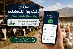 راه‌اندازی «کیف پول الکترونیک» ویژه دامداران استان سمنان