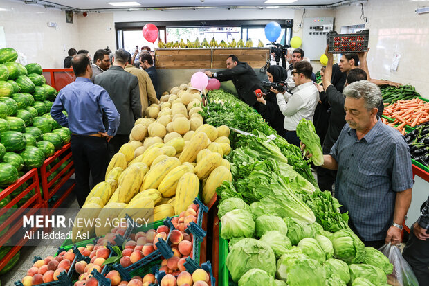 حراج دسترنج باغداران گلستانی در بازار؛ سودی که به جیب دلالان می رود!