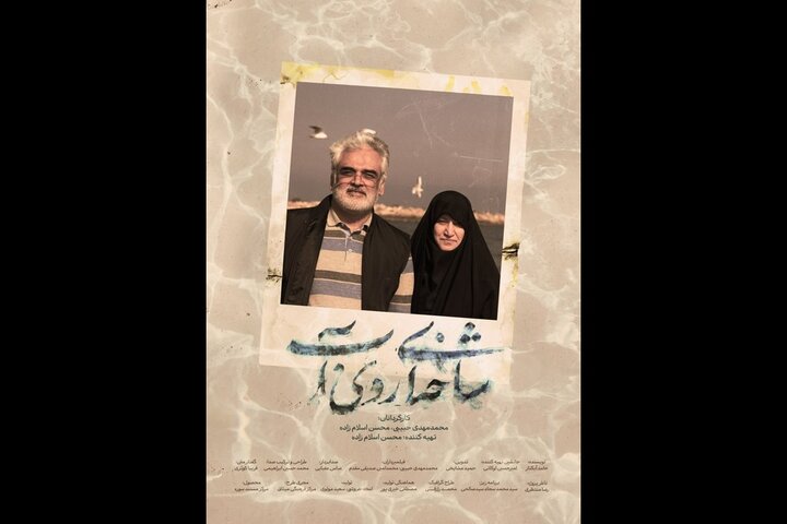 آغاز اکران سیار مستندی از زندگی شهید طهرانچی آغاز اکران سیار مستندی از زندگی شهید طهرانچی