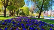 احیای پارک ملت شهرکرد؛ اقدامات جامع شهرداری برای حفظ میراث شهری