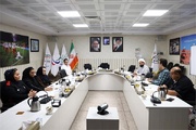 نشست کمیسیون ورزشکاران کمیته ملی پارالمپیک برگزار شد