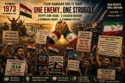 Egyptian popular support for Iran amid the Zio-American war