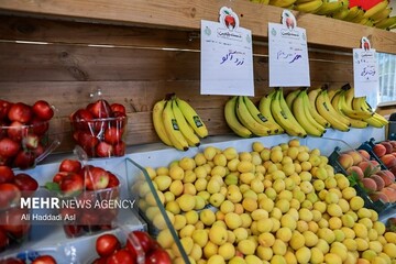 ایجاد بازار عرضه مستقیم میوه و تره بار در سمنان؛ ۱۲ غرفه پیش بینی شد