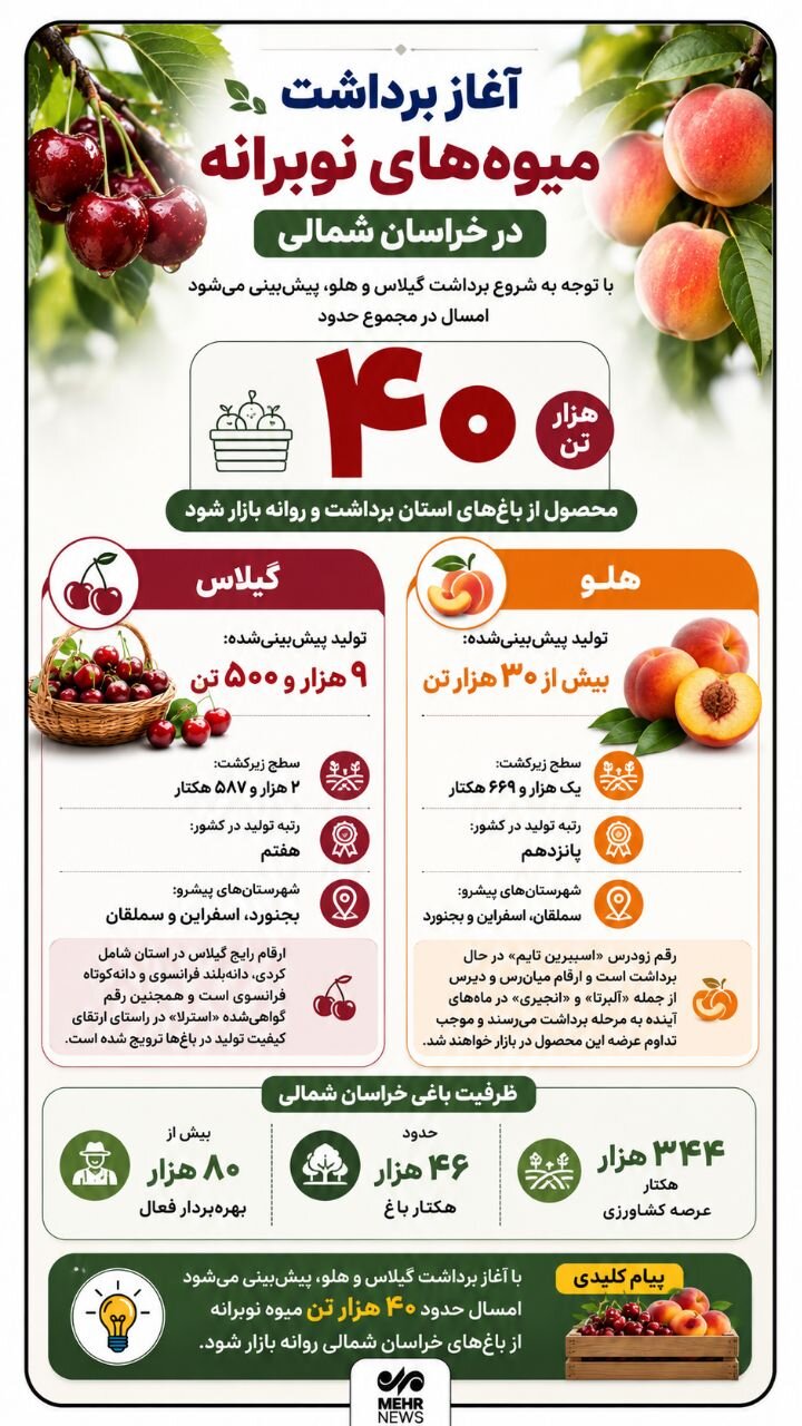 اینفوگرافیک؛ آغاز برداشت میوه های نوبرانه در خراسان شمالی
