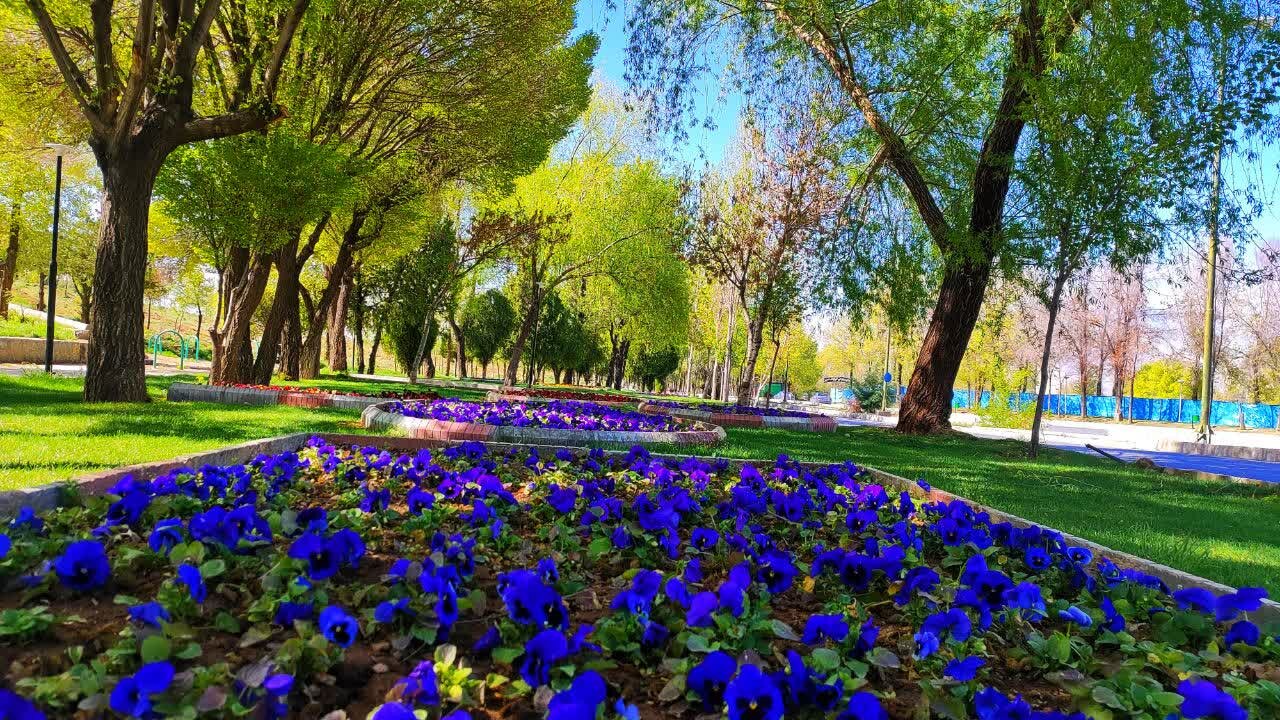 پارك،درختان،ملت،شهري،اقدامات،مديريت،جامع،سبز،پروژه،طرح،خشكيد ...