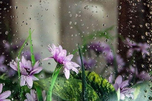 تداوم فعالیت سامانه بارشی در آذربایجان شرقی