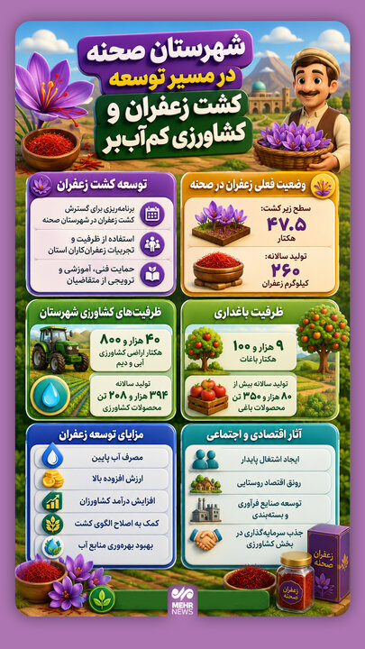 اینفوگرافیک؛ کشت زعفران و کشاورزی کم آب بر در شهر صحنه