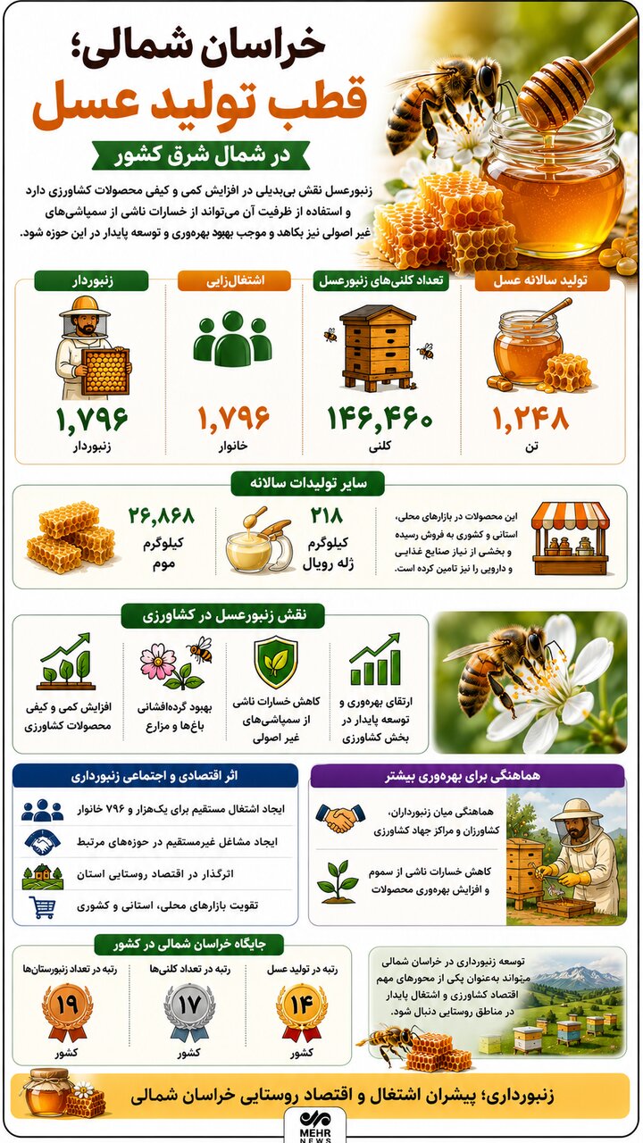 اینفوگرافیک؛ خراسان شمالی قطب تولید عسل در شمال شرق کشور