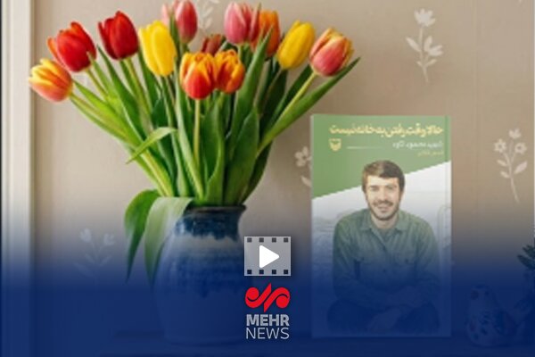 شهيدي