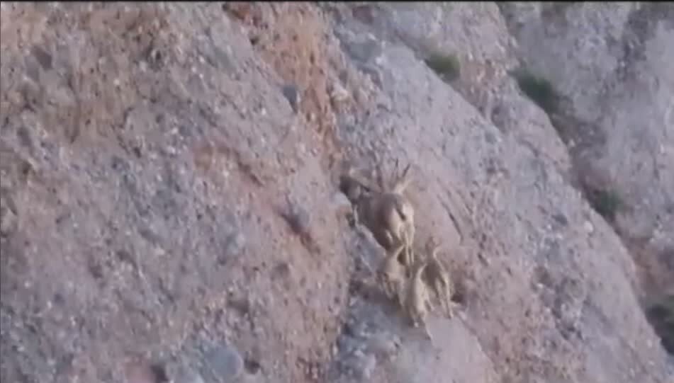 حفاظت،منطقه،سبزكوه،ثبت،رخداد،چهارمحال