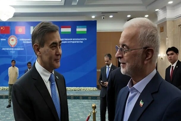 سازمان،شانگهاي،همكاري،ايران،مومني،دبيركل
