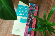 درختان همسایه‌هایی که مراقب هم هستند/ رازهای پنهان زیر پوست جنگل