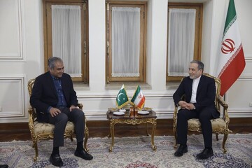 Iran FM Araghchi meets with Pakistan interior min. in Tehran