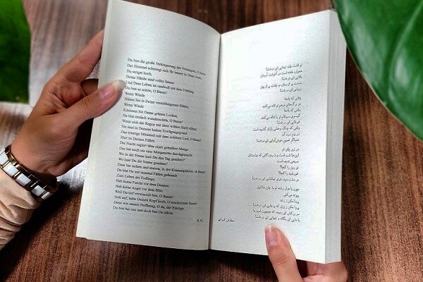 درختان همسایههایی که مراقب هم هستند/ رازهای پنهان زیر پوست جنگل
