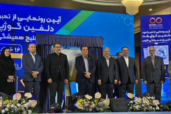مرادزاده: حفاظت از دلفین گوژپشت زمینه ساز سلامت خلیج فارس است