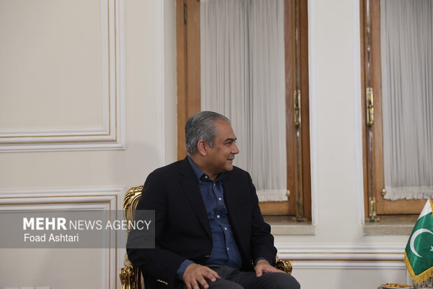 دیدار وزیر کشور پاکستان با وزیر امور خارجه ایران