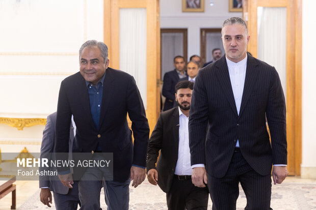 دیدار وزیر کشور پاکستان با وزیر امور خارجه ایران