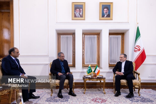 دیدار وزیر کشور پاکستان با وزیر امور خارجه ایران